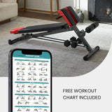 Multi-Functional Gym Bench for Full All-in-One Body Workout , Roman Chair, Adjustable Situp, Decline, Flat Bench